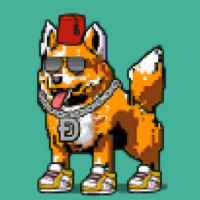 DogePunks #1463