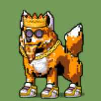 DogePunks #774