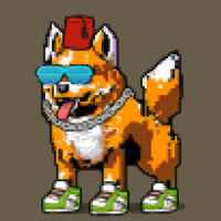 DogePunks #1719