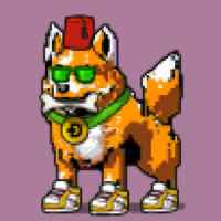 DogePunks #3465