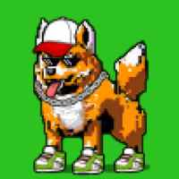 DogePunks #1391