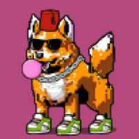 DogePunks #938
