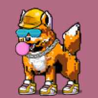 DogePunks #1343
