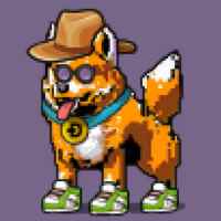 DogePunks #2565