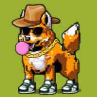 DogePunks #1228
