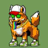 DogePunks #4052