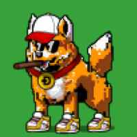 DogePunks #1246
