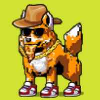 DogePunks #4121