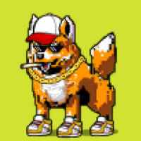 DogePunks #1144