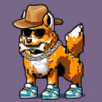 DogePunks #2862