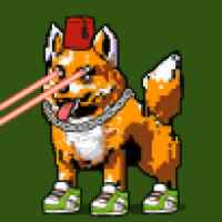 DogePunks #1840