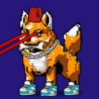 DogePunks #1340
