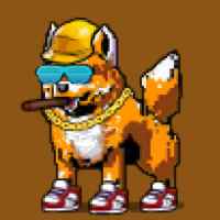 DogePunks #1306
