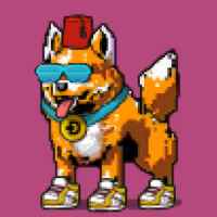 DogePunks #863