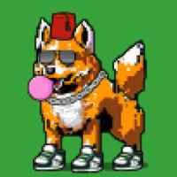 DogePunks #1783