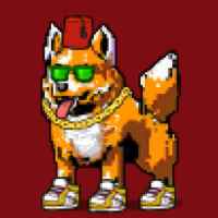 DogePunks #482
