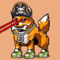 DogePunks #1893