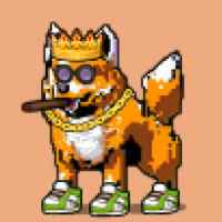 DogePunks #904