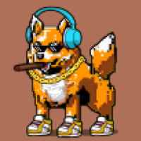 DogePunks #625