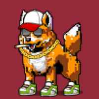 DogePunks #4243