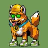 DogePunks #2316