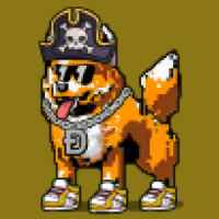DogePunks #2163