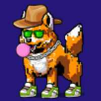 DogePunks #255