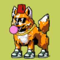 DogePunks #1597