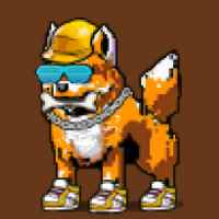 DogePunks #608