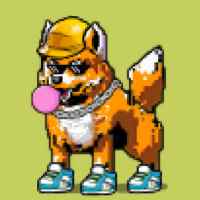 DogePunks #743