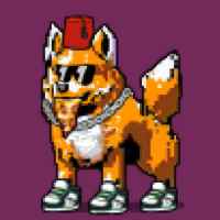 DogePunks #1759