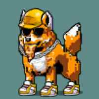 DogePunks #887