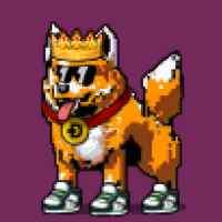 DogePunks #998