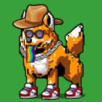 DogePunks #1036