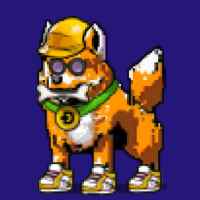 DogePunks #3806