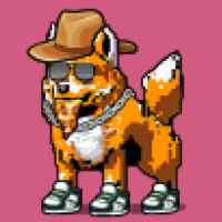 DogePunks #4618