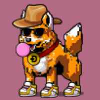 DogePunks #445