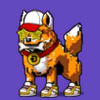 DogePunks #2686