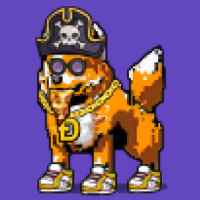 DogePunks #3455