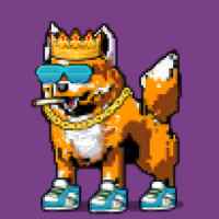 DogePunks #566