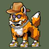 DogePunks #1913