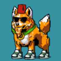 DogePunks #491