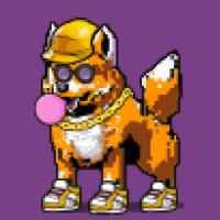 DogePunks #1446