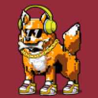 DogePunks #2725