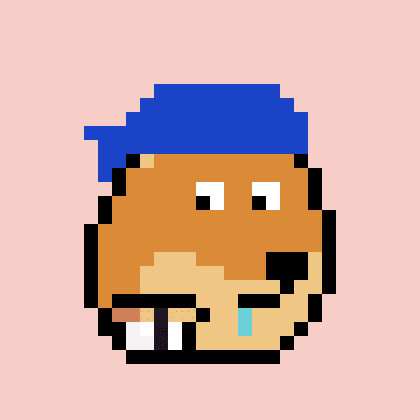 Dogepunk #8917