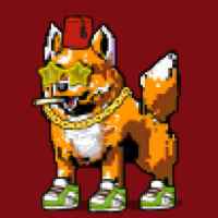 DogePunks #1482