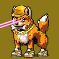 DogePunks #1796