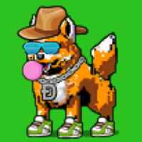 DogePunks #1508