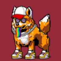 DogePunks #1243