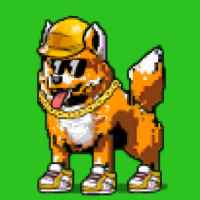 DogePunks #895